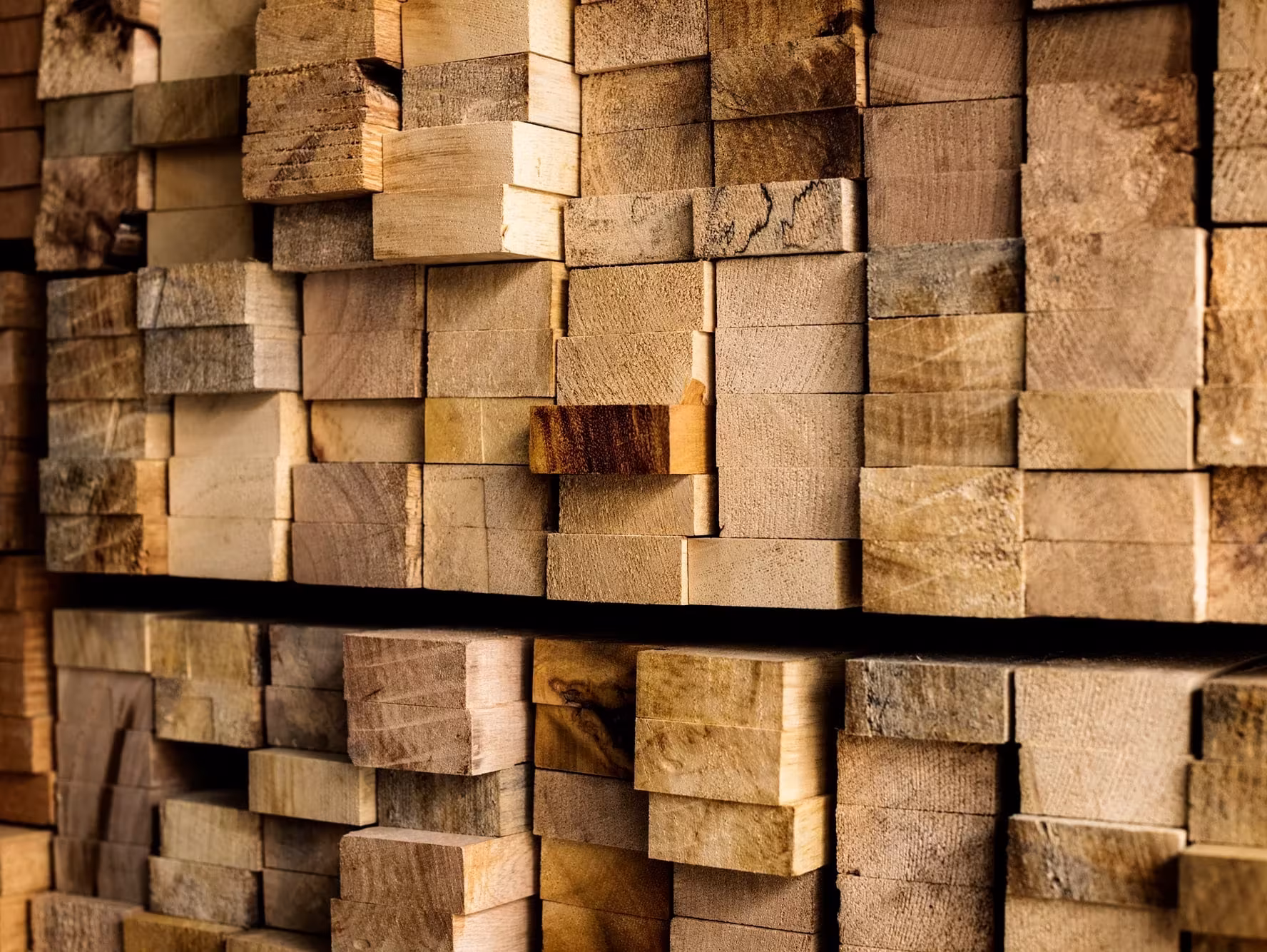 from-accoya-to-walnut-featured-image